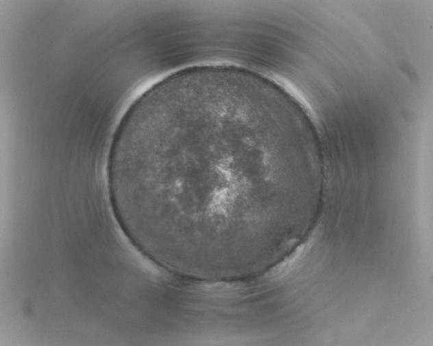 X0000115580943200911241510