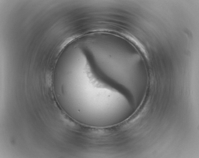 X0000115580945200911241510