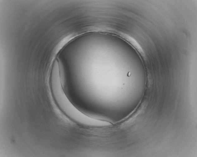 X0000115580946200911241510