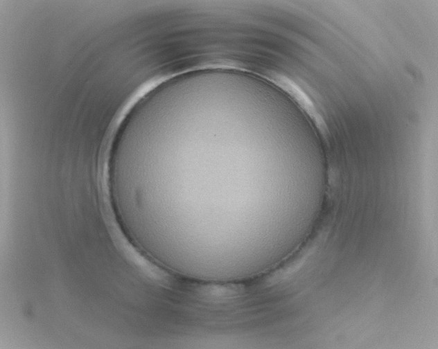 X0000115580947200911241510