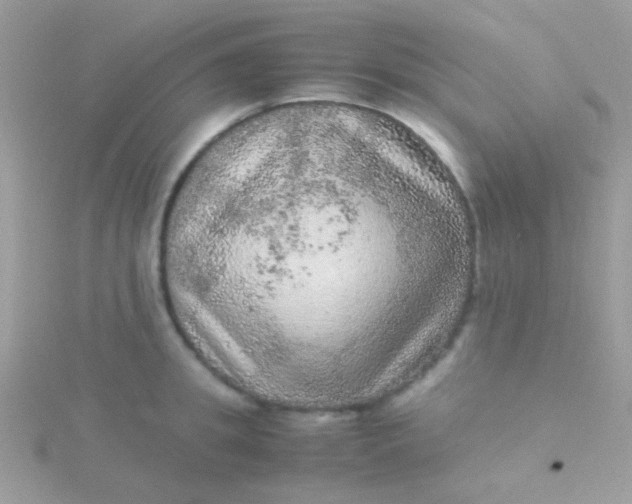 X0000115580949200911241510