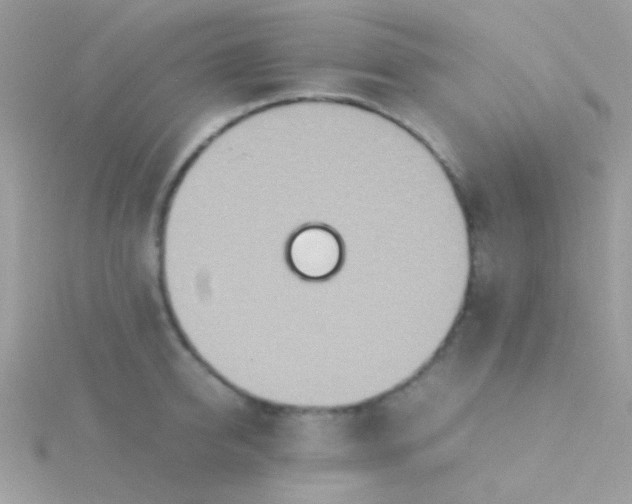 X0000115580950200911241510