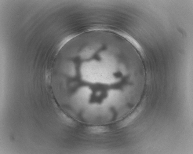 X0000115580953200911241510