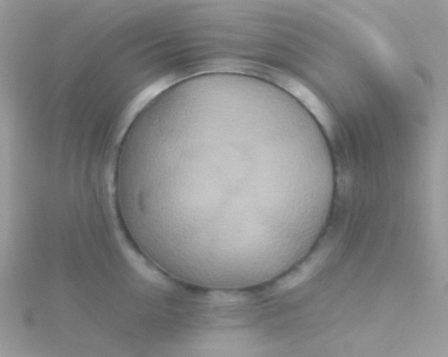 X0000115580954200911241510