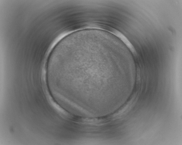 X0000115580955200911241510