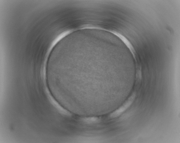 X0000115580957200911241510