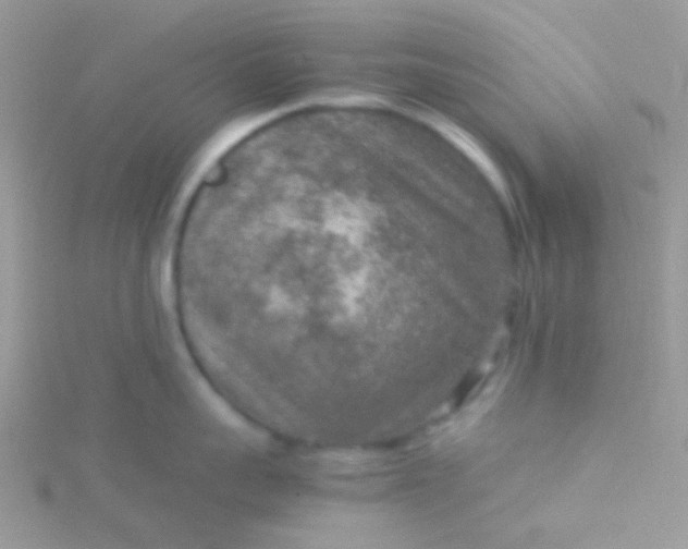 X0000115580959200911241510