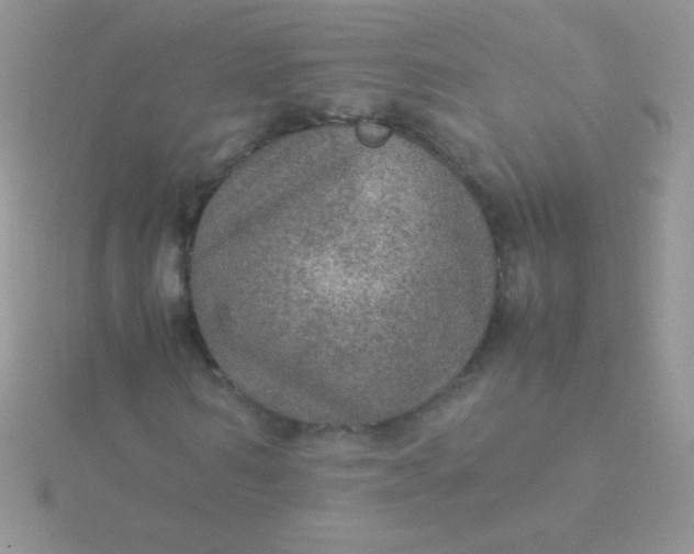 X0000115580962200911241509