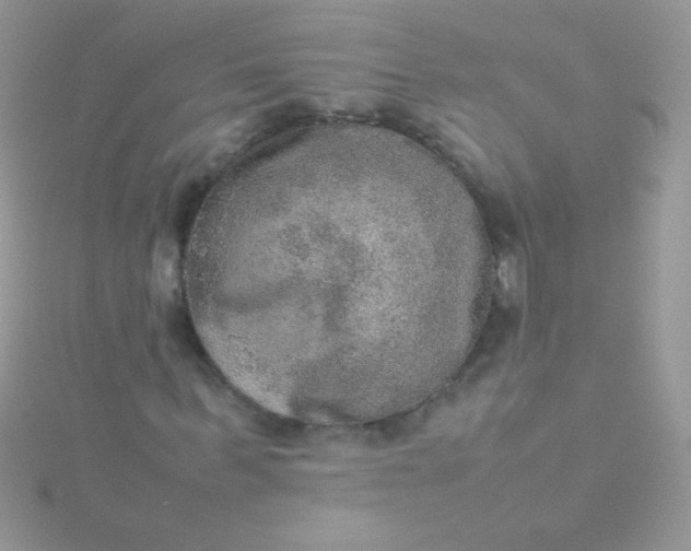 X0000115580963200911241509