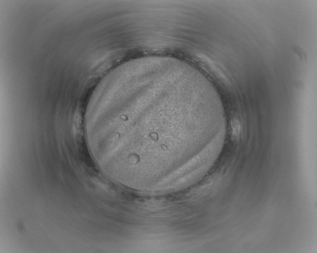 X0000115580964200911241509