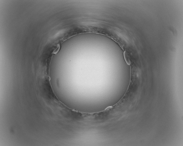 X0000115580965200911241509