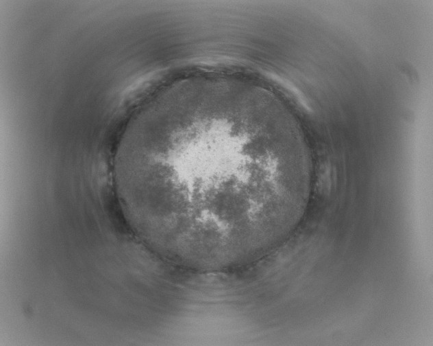 X0000115580966200911241509