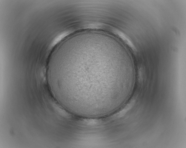 X0000115580970200911241509