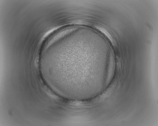 X0000115580971200911241509