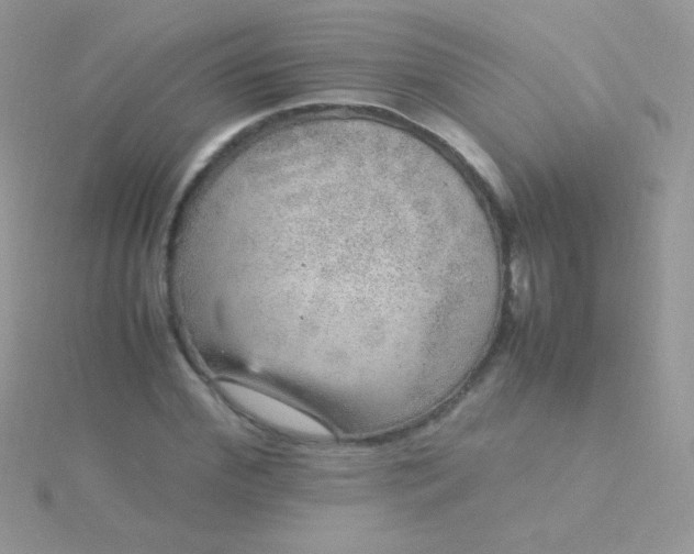 X0000115580972200911241509