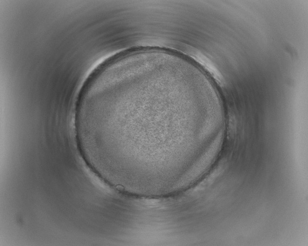 X0000115580976200911241509