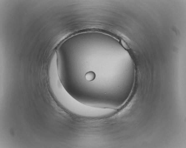 X0000115580977200911241509