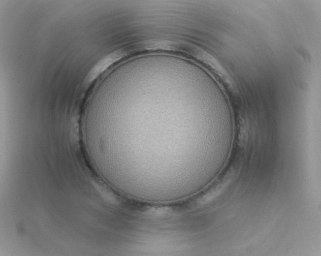 X0000115580978200911241509