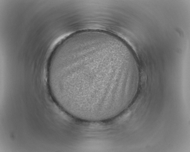 X0000115580979200911241509