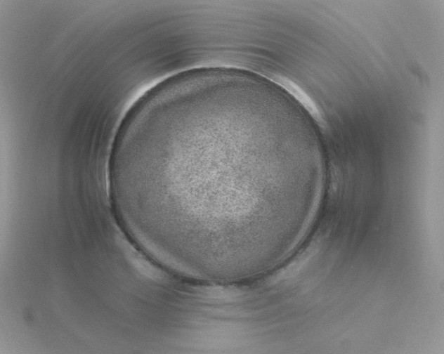 X0000115580980200911241509