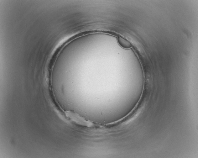 X0000115580981200911241509