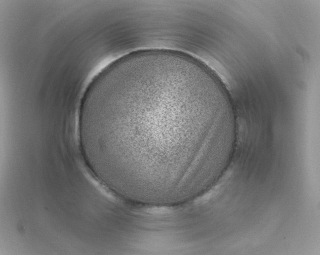 X0000115580982200911241509