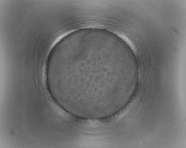 X0000115580983200911241509