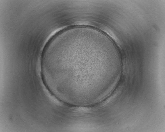 X0000115580984200911241509