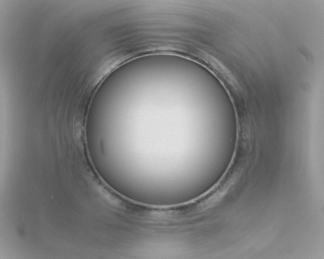 X0000115580985200911241509