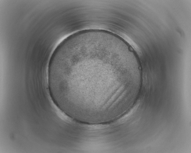 X0000115580988200911241509