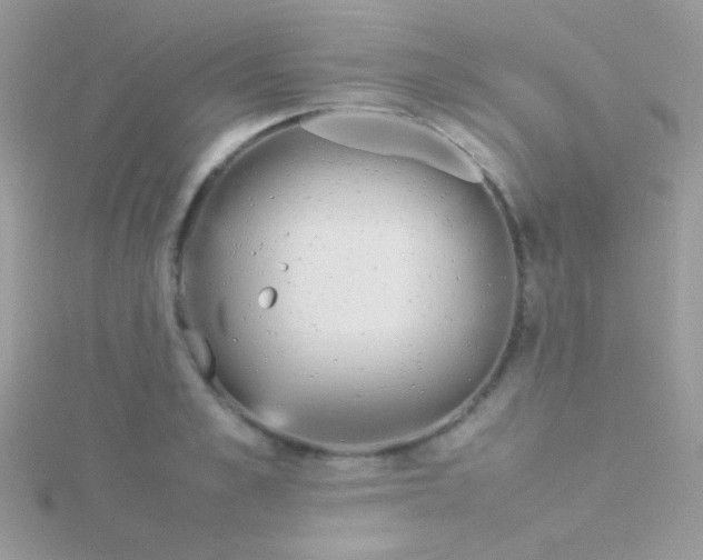 X0000115580989200911241509