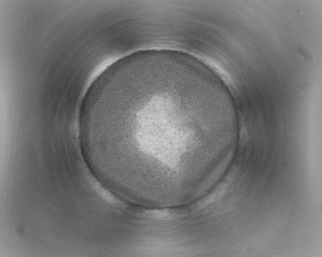 X0000115580990200911241509