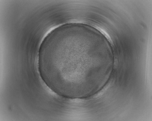 X0000115580992200911241509