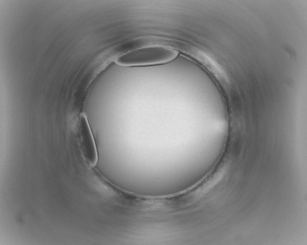 X0000115580993200911241509