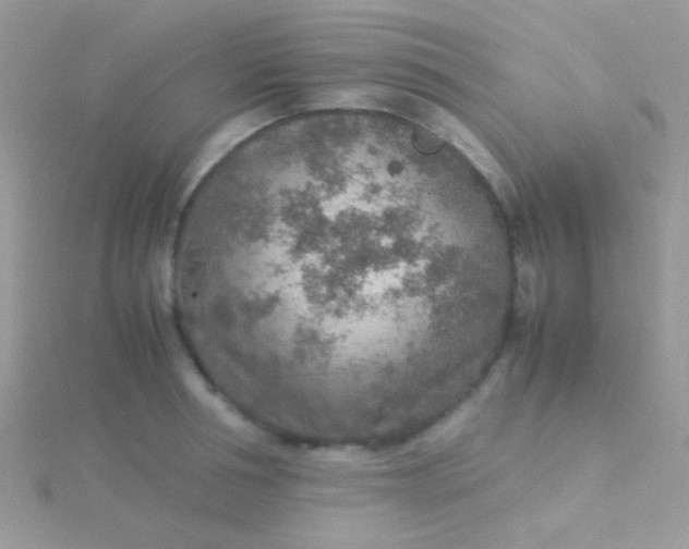 X0000115580994200911241509