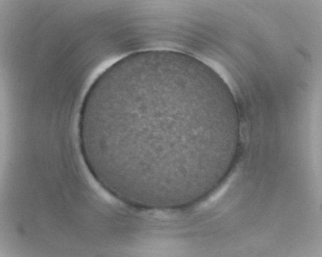 X0000115580995200911241509