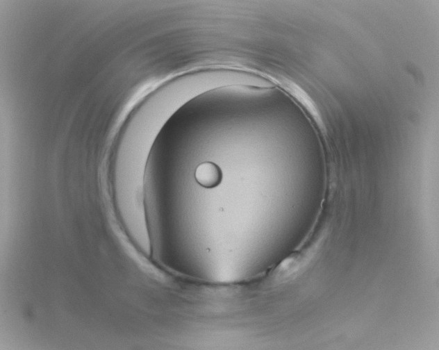 X0000115580997200911241509