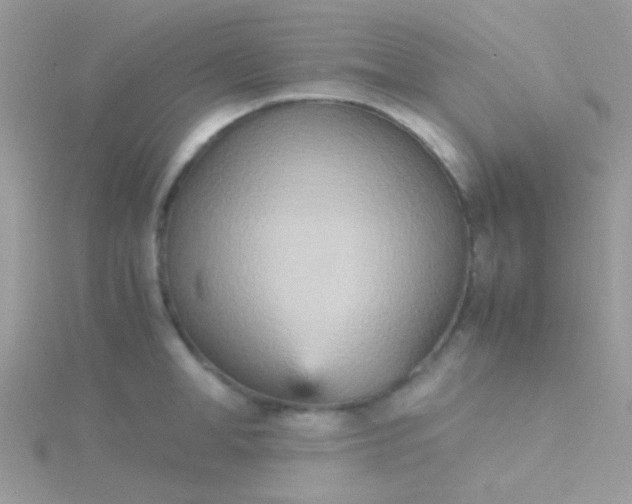 X0000115580998200911241509