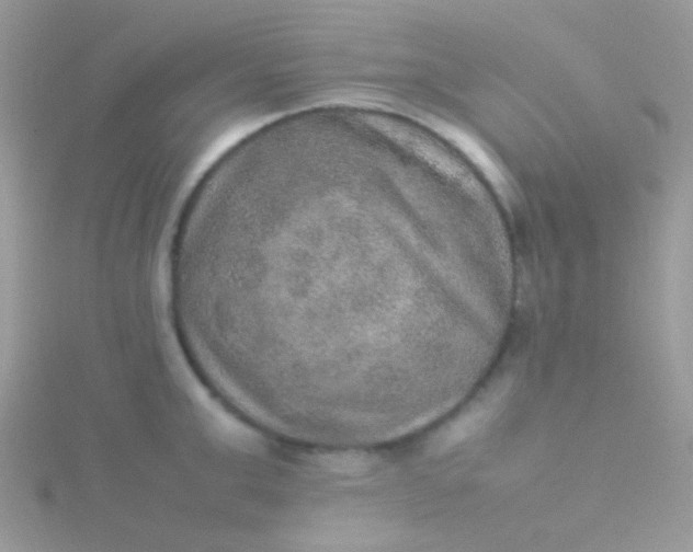 X0000115580999200911241509