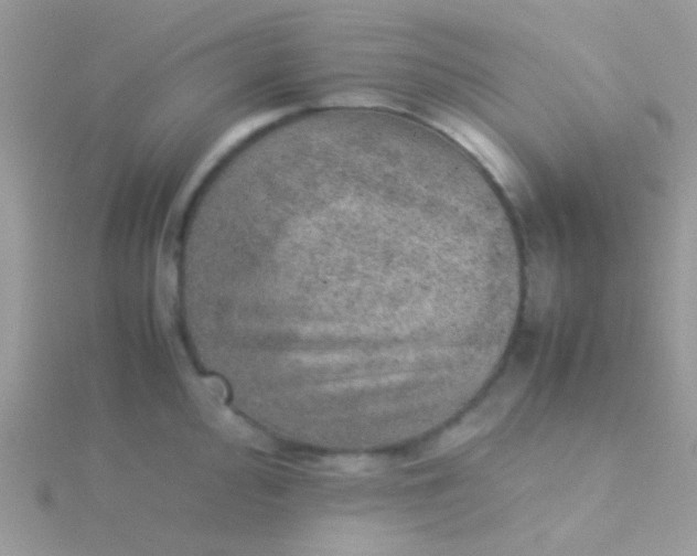 X0000115581000200911241509