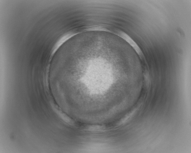 X0000115581002200911241509