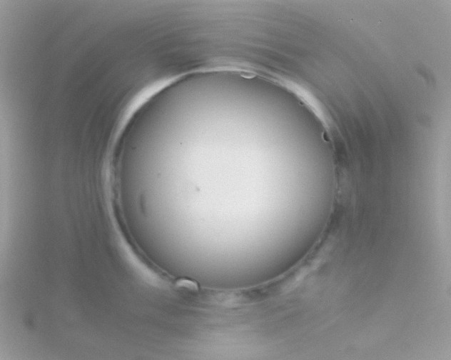 X0000115581003200911241509