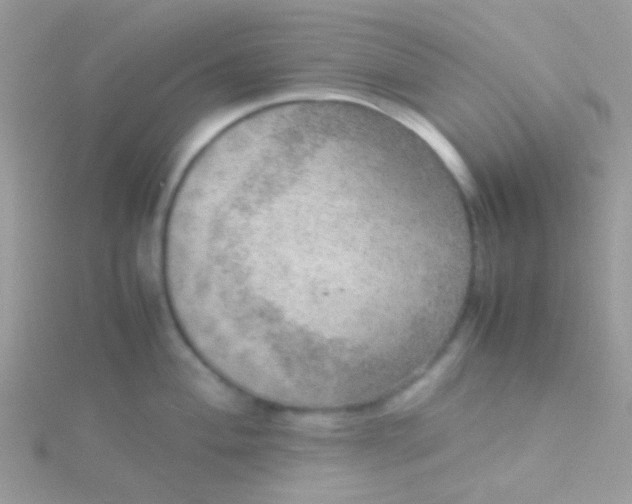 X0000115581004200911241509