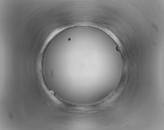 X0000115581005200911241509