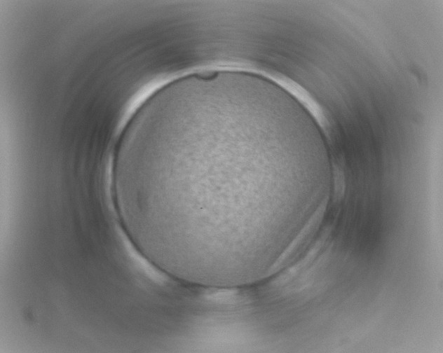 X0000115581006200911241509