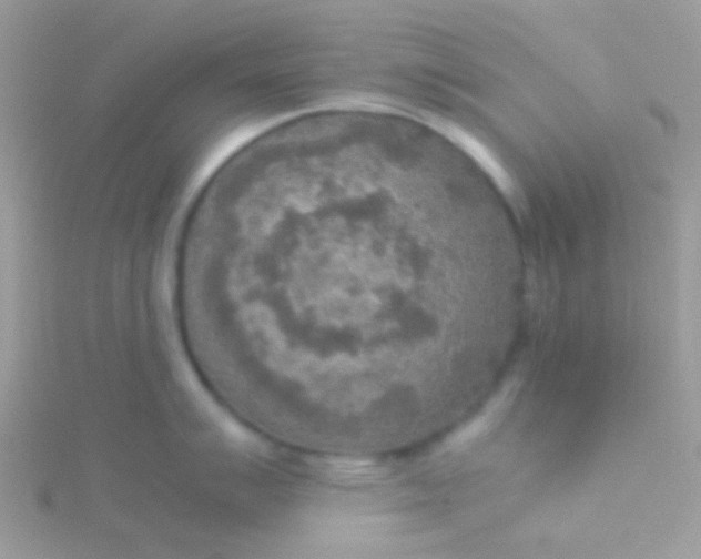 X0000115581007200911241508