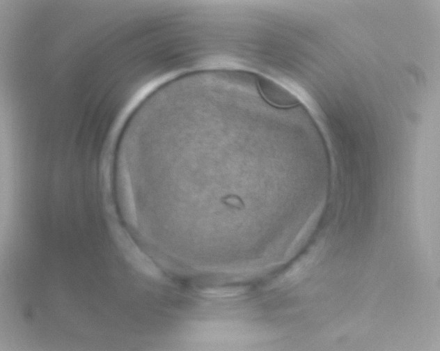 X0000115581008200911241508