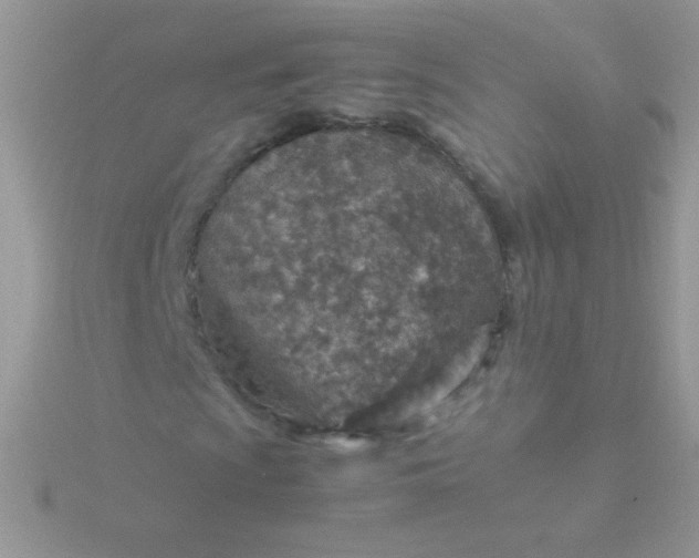 X0000115581009200911241508