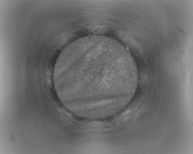 X0000115581010200911241508