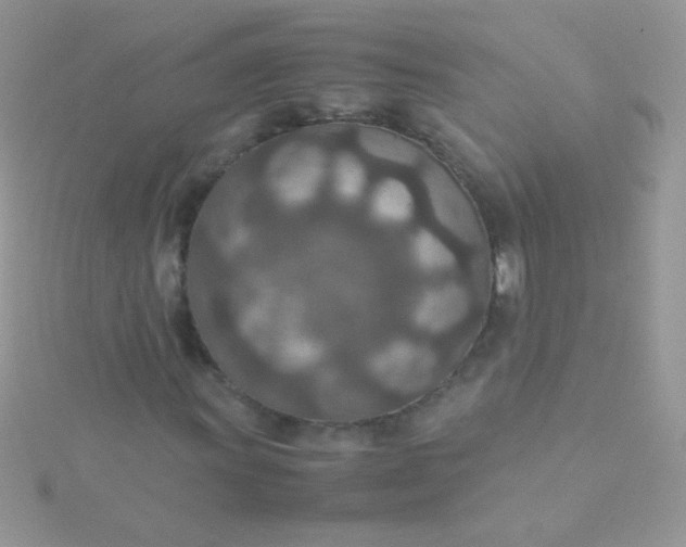 X0000115581011200911241508